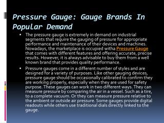 Pressure Gauge: Gauge Brands In Popular Demand