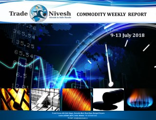 Top 10 stock advisory company Indore| Intraday trading tips|Stock cash tips| Commodity trading tips|Trade Nivesh stock a