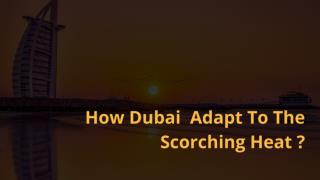 How Dubai Adapt To The Scorching Heat