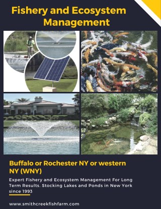 Fishery and Ecosystem Management - New York
