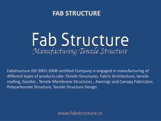 Fab Structure