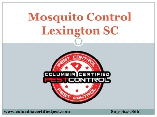 Do you Need Mosquito Control Service in Lexington SC?