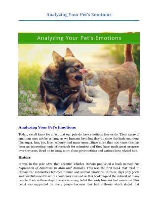 Analyzing Your Petâ€™s Emotions ?