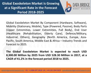 Global Exoskeleton Market is Growing at a Significant Rate in the Forecast Period 2018-2025