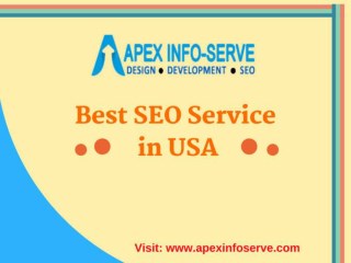 Best SEO Service in USA - Contact Apex Info-Serve from NY