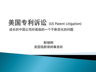 美国专利诉讼 (US Patent Litigation)