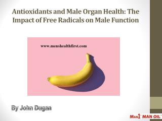 Antioxidants and Male Organ Health: The Impact of Free Radicals on Male Function