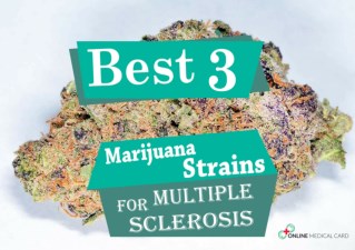 Best 3 Marijuana Strains for Multiple Sclerosis