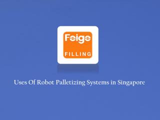 Robot Palletizing System