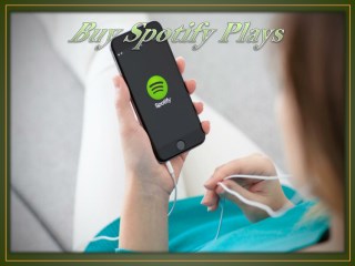 Buy Spotify Plays & Grow Fans to your Music