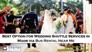 Best Option for Wedding Shuttle Services in Miami via Bus Rental Near Me