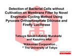 Detection of Bacterial Cells without Cultivation on Membrane Filter by Novel Enzymatic Cycling Method Using Pyruvate Ort