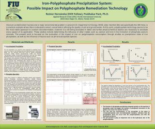 Iron-Polyphosphate Precipitation System: Possible Impact on Polyphosphate Remediation Technology Reinier Hernández (D