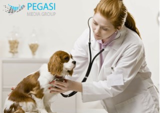 Veterinarians Email List| Veterinarians Mailing List