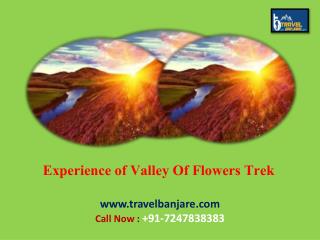 Experience of Valley Of Flowers Trek at Travel Banjare