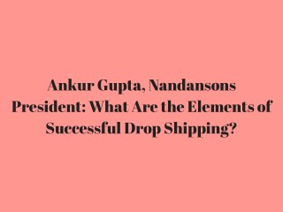 Ankur Gupta, Nandansons President_ What Are the Elements of Successful Drop Shipping