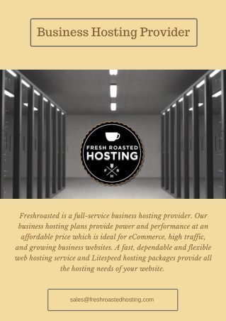 Business Hosting Provider