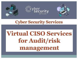 Get the reliable Virtual CISO Services at a reasonable price