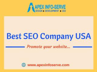 Best SEO Company from New York-Apex Info-Serve