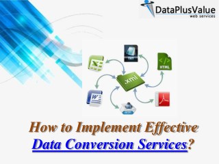Get Delegate Data Conversion Services to Data Plus Value Data Entry