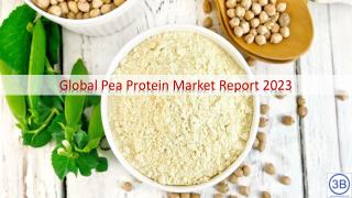 Global Pea Protein Market by Manufacturers, Regions, Type and Application, Forecast to 2023