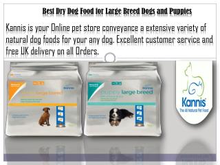 Best Dry Dog Food for Large Breed Dogs and Puppies