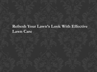 Refresh Your Lawns Look with Effective Lawn care TurfWorks