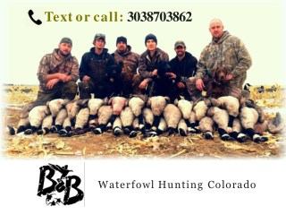 Goose Hunting In Colorado