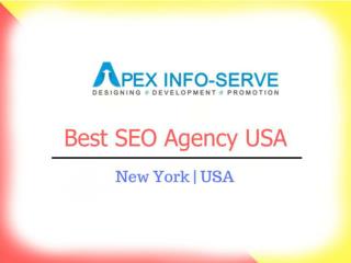 Top SEO agency USA
