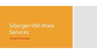 Sibergen VMWare Services