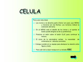 CELULA