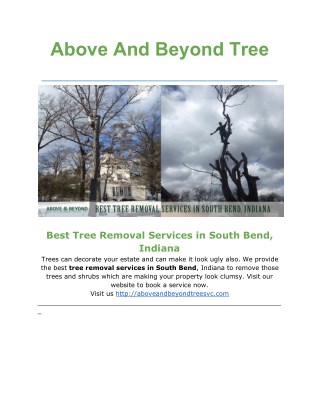 Tree Removal Companies in South Bend