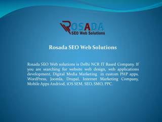Rosada SEO Web Solutions