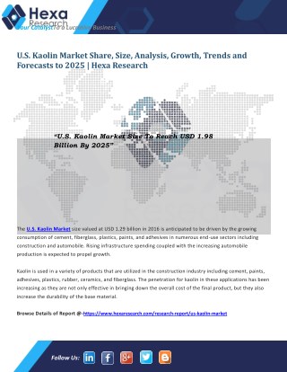 U.S. Kaolin Market Research Report | Hexa Research