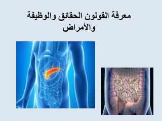 Ù…Ø¹Ø±ÙØ© Ø§Ù„Ù‚ÙˆÙ„ÙˆÙ† Ø§Ù„Ø­Ù‚Ø§Ø¦Ù‚ ÙˆØ§Ù„ÙˆØ¸ÙŠÙØ© ÙˆØ§Ù„Ø£Ù…Ø±Ø§Ø¶