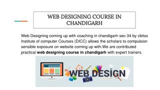 Web designing course in chandigarh
