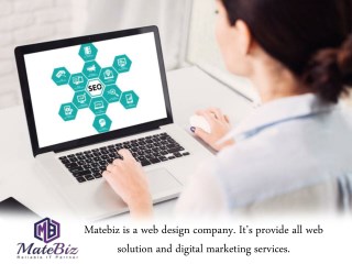 MateBiz India Is A Best SEO Services Company