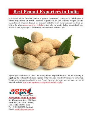 Best Peanut Exporters in India