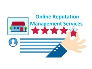 Online Reputation Management Service