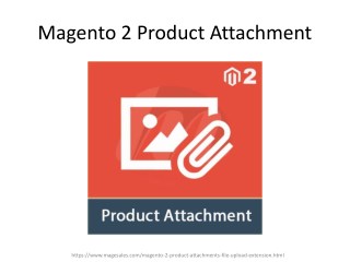 Magento 2 Product Attachments