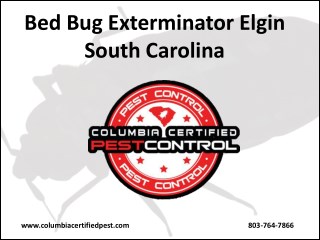 Bed Bug Exterminator Elgin South Carolina