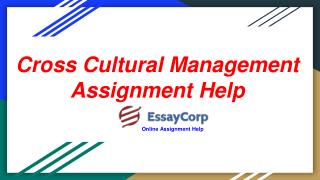 Get online Cross cultural Management assignment Assistance