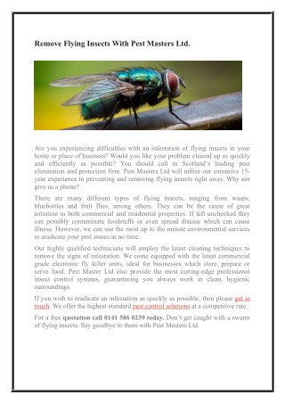 Remove Flying Insects With Pest Masters Ltd.