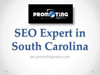 SEO Expert in South Carolina - seo.promotingwebs.com