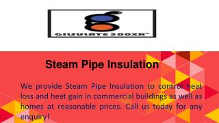 Steam Pipe Insulation