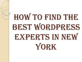 How to Find the Best WordPress Experts in New York