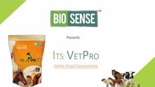 Its VetPro | Herbal and Safe Supplement for Animals | Supplement for Animals