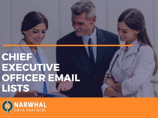 Chief Executive Officer Email List