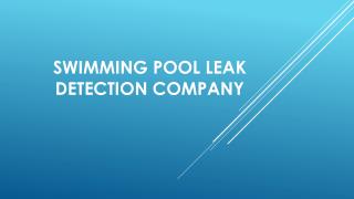 Swimming Pool Leak Detection Company Sarasota