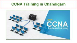 CCNA Training in Chandigarh